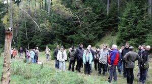 Die Herbstwanderung des SPD Ortsvereins Crawinkel sollte zur guten Tradition werden