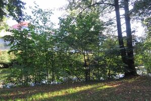 Schlosspark Hildburghausen