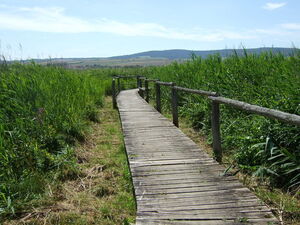 Werrtalradweg bei Gerstungen, Foto: Karl Schlemmer