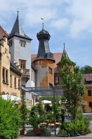 Schloß Trockenborn-Wolfersdorf im Juni 2011