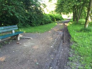 zerfahrene Weg im Hildburghäuser Stadtpark