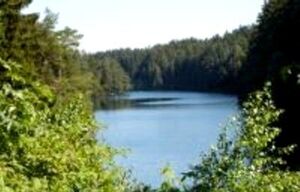 Schmalwassertalsperre Tambach-Dietharz